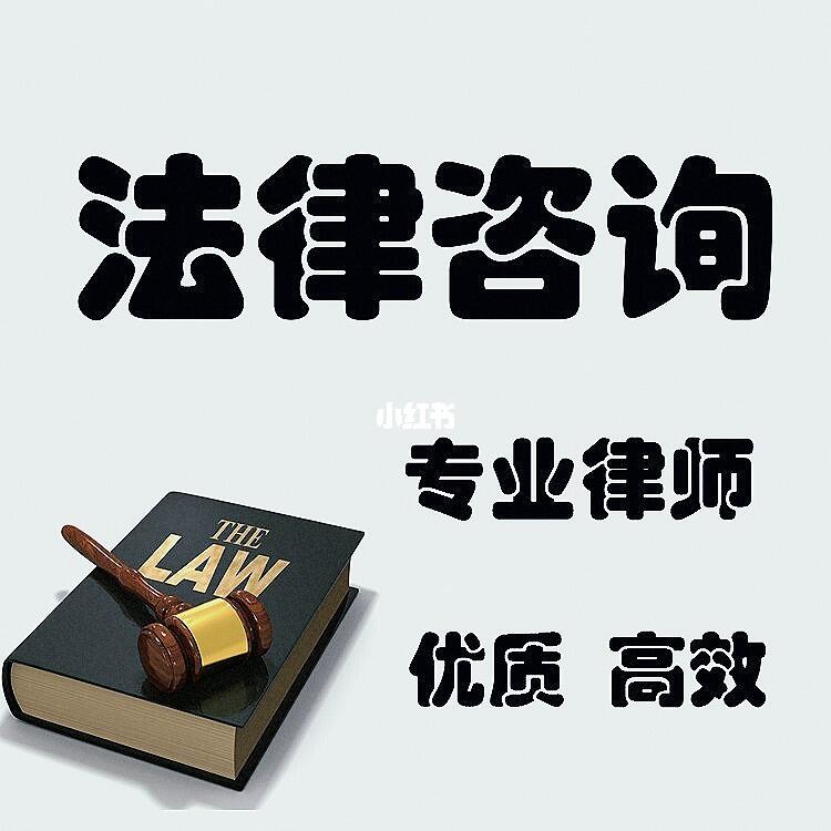 法律咨询与诉讼代理 实用指南